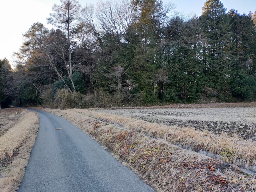 沢又第三分舎の跡と直線道路