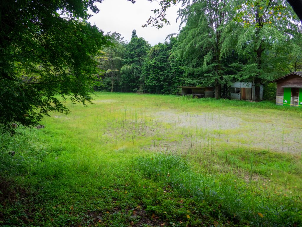 山久保小学校校庭