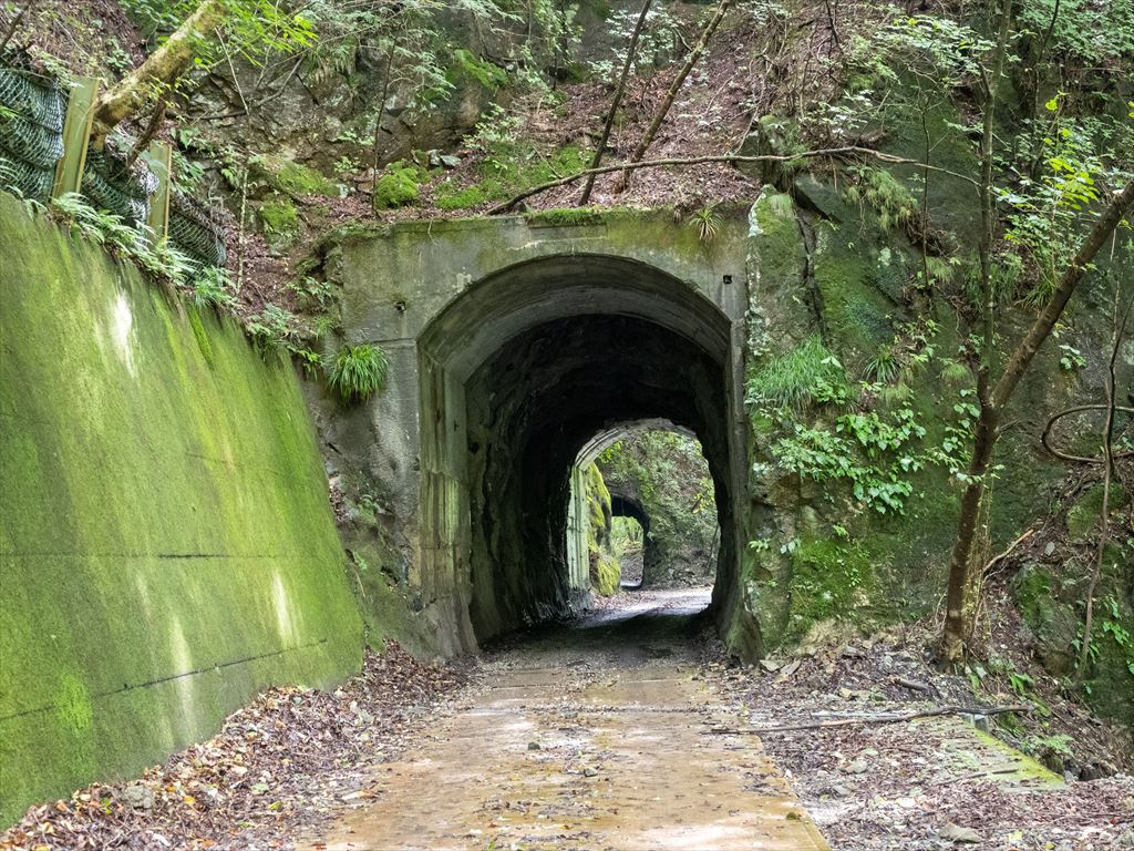 逆川ダムに向う途中のトンネル