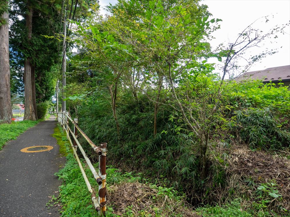 上小池の一里塚