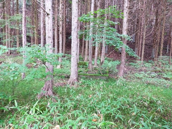 小百小学校小休戸分校