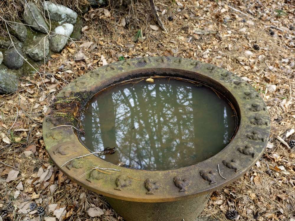 鶏頂山神社里宮の手水鉢