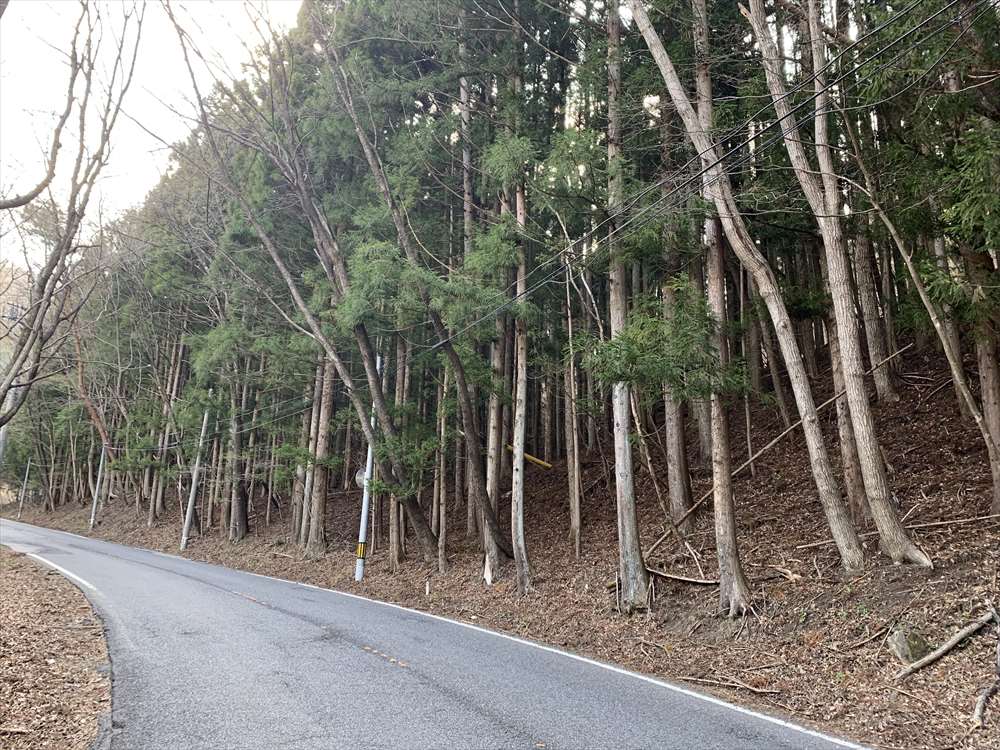 独鈷沢の一里塚