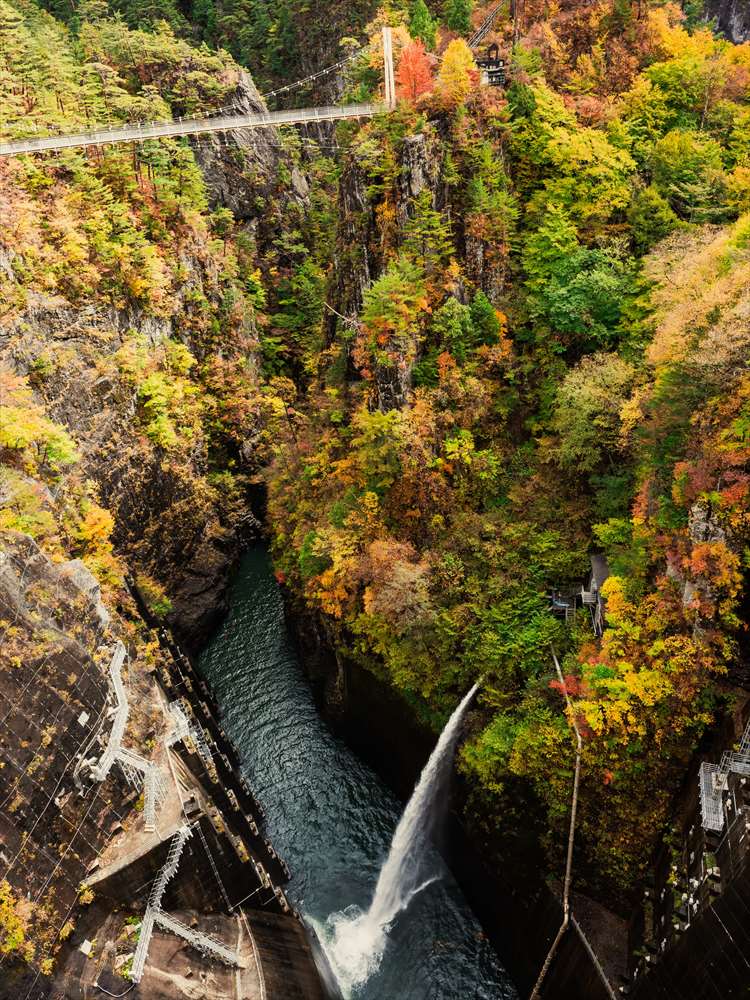 川俣ダムから望む紅葉期の瀬戸合峡