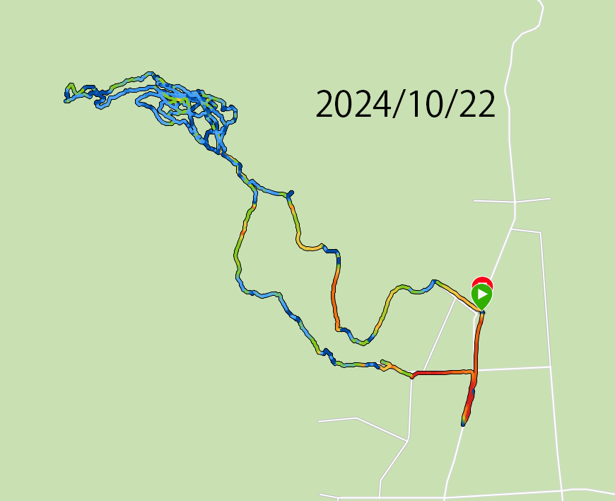 供養塔がどうしても見つからなかったため、翌週に再チャレンジ。