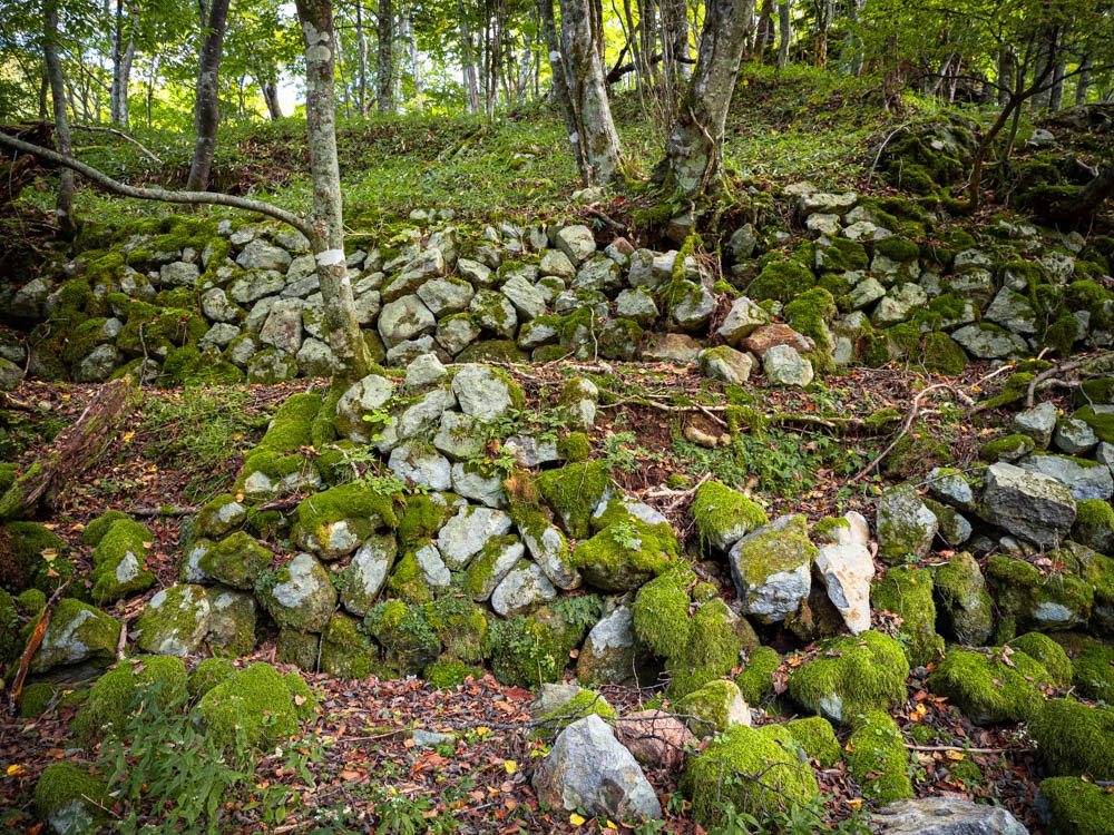 西澤金山のの役宅用の土地