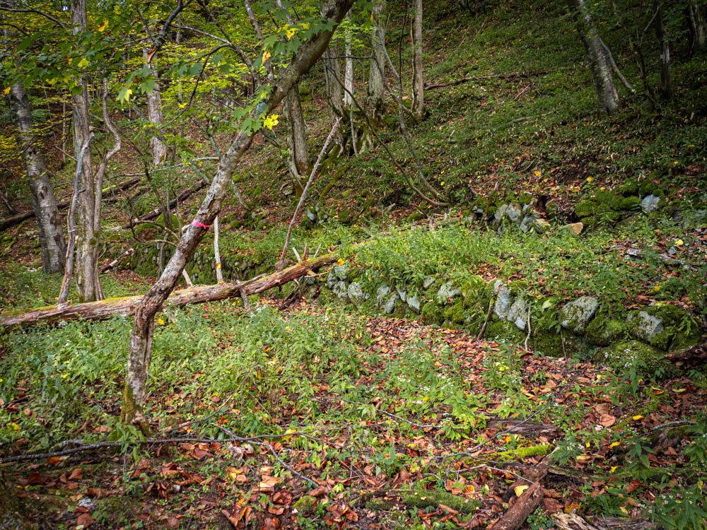 私立西澤金山尋常高等小学校