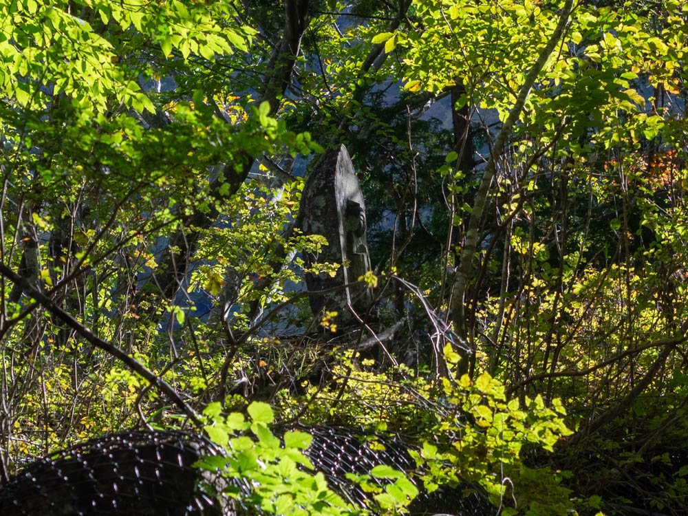 もみじラインの岩の上の馬頭観音