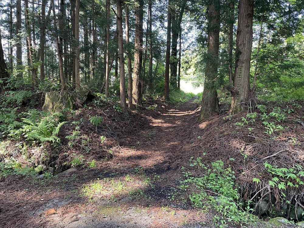 東武野口駅につながる小路