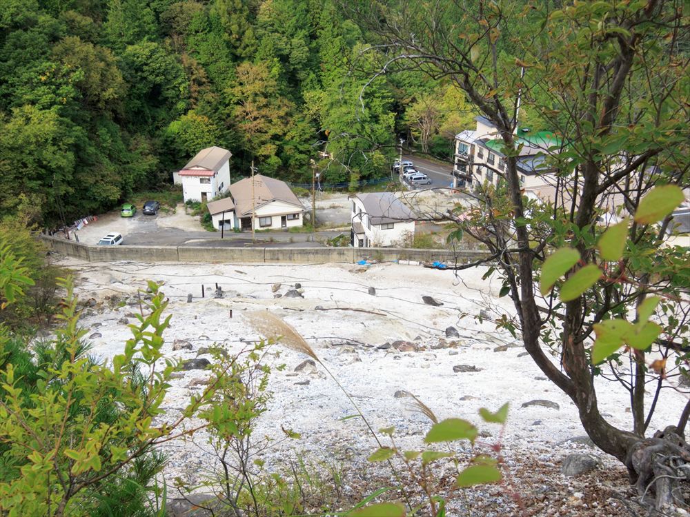 新湯温泉神社から見下ろす新湯の温泉街