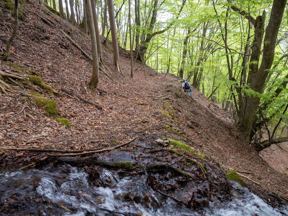 いきなり無もなき沢を渡渉する