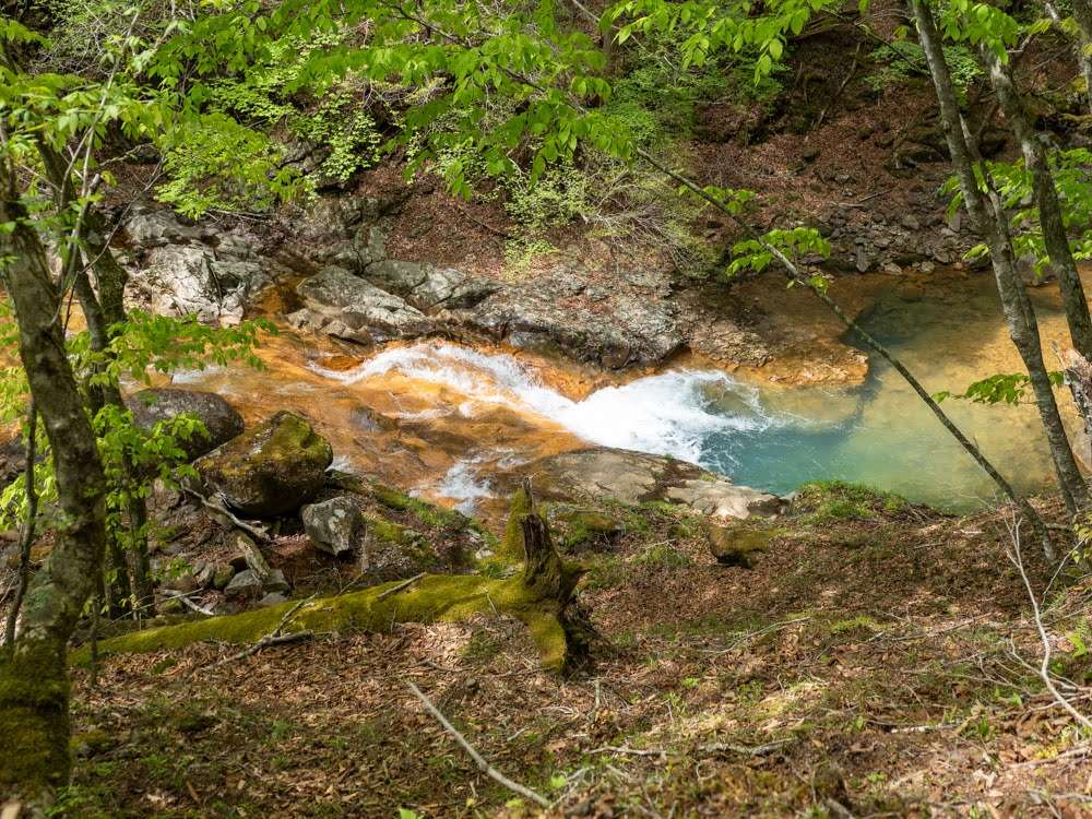 赤川を渡渉する