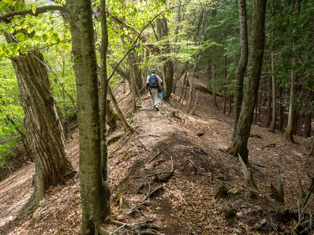 雪かきがしやすいように工夫された塩原道