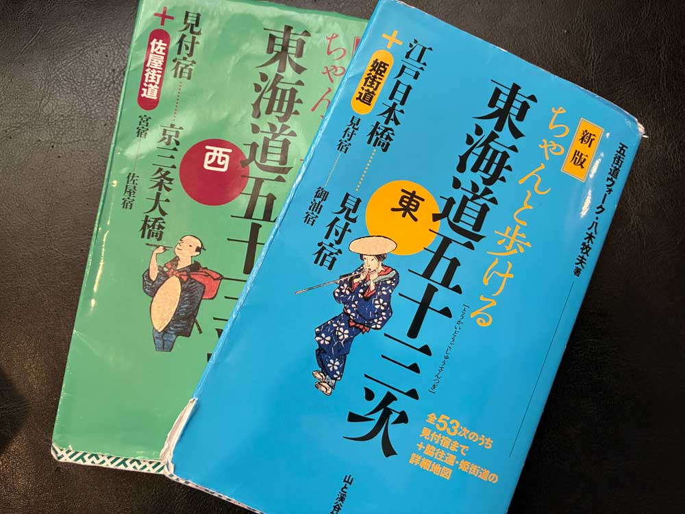 ちゃんと歩ける東海道五十三次
